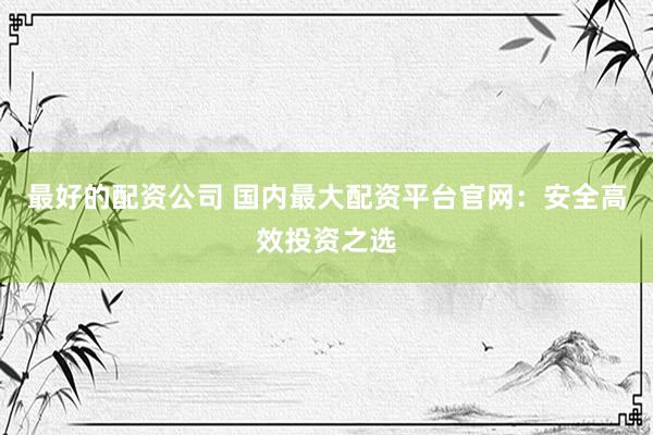 最好的配资公司 国内最大配资平台官网：安全高效投资之选