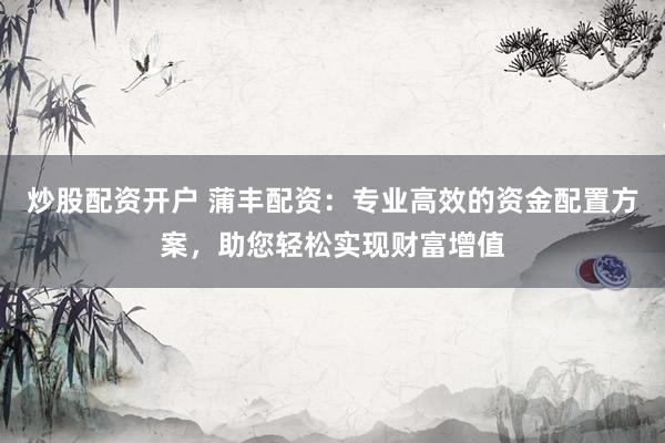 炒股配资开户 蒲丰配资：专业高效的资金配置方案，助您轻松实现财富增值