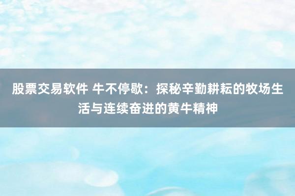 股票交易软件 牛不停歇：探秘辛勤耕耘的牧场生活与连续奋进的黄牛精神