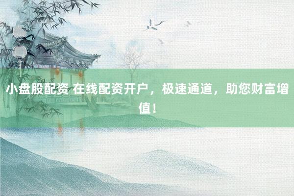 小盘股配资 在线配资开户，极速通道，助您财富增值！
