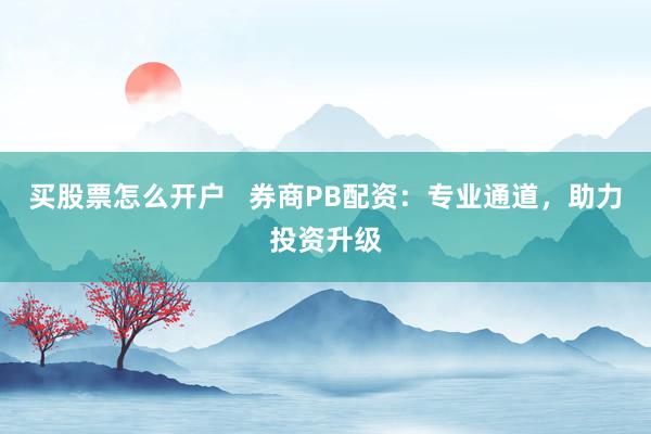 买股票怎么开户   券商PB配资：专业通道，助力投资升级
