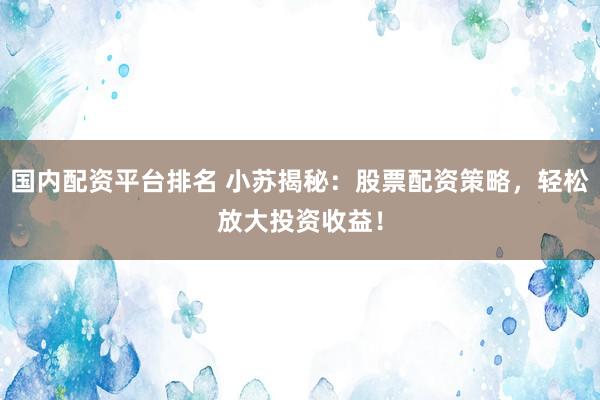 国内配资平台排名 小苏揭秘：股票配资策略，轻松放大投资收益！