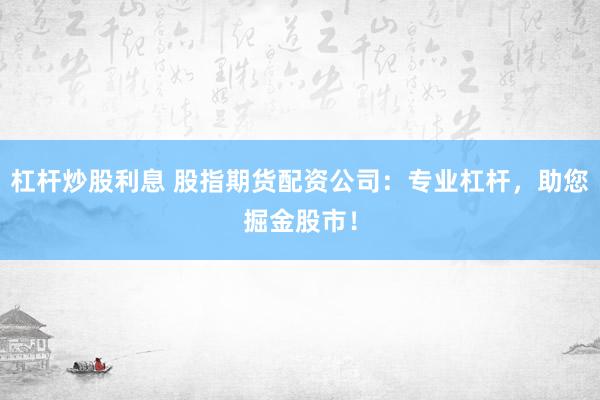 杠杆炒股利息 股指期货配资公司:专业杠杆,助您掘金股市!