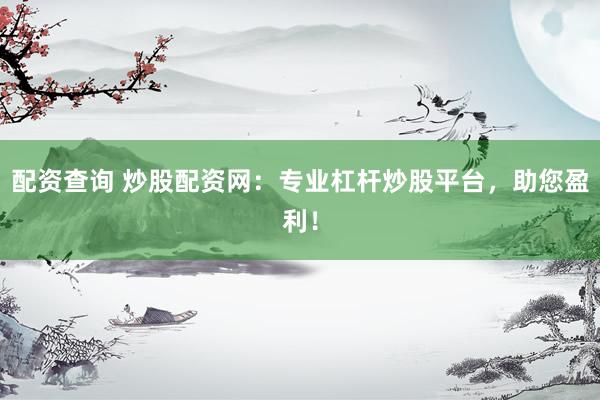 配资查询 炒股配资网：专业杠杆炒股平台，助您盈利！