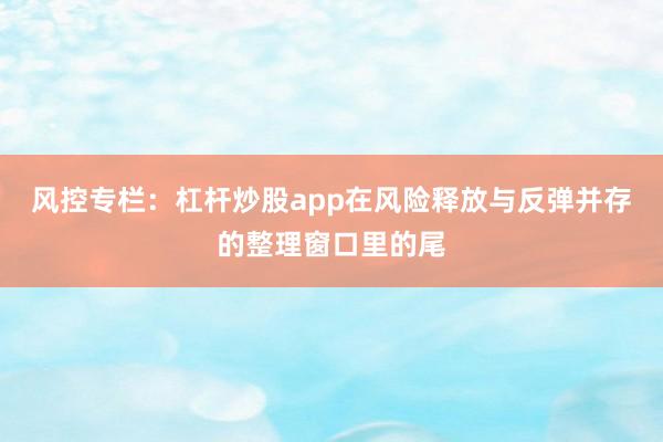 风控专栏：杠杆炒股app在风险释放与反弹并存的整理窗口里的尾