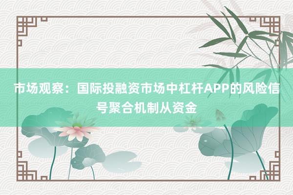市场观察：国际投融资市场中杠杆APP的风险信号聚合机制从资金