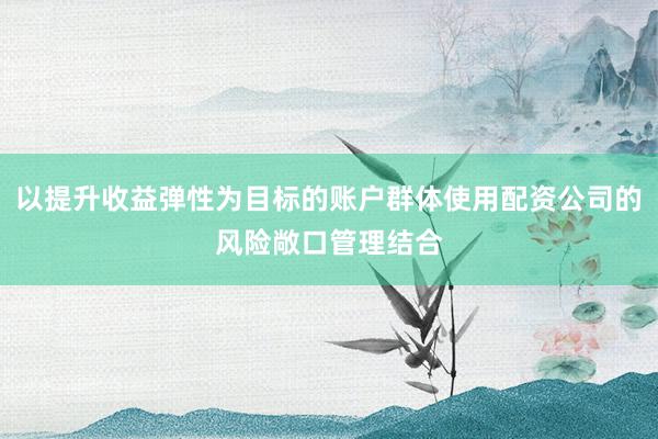 以提升收益弹性为目标的账户群体使用配资公司的风险敞口管理结合