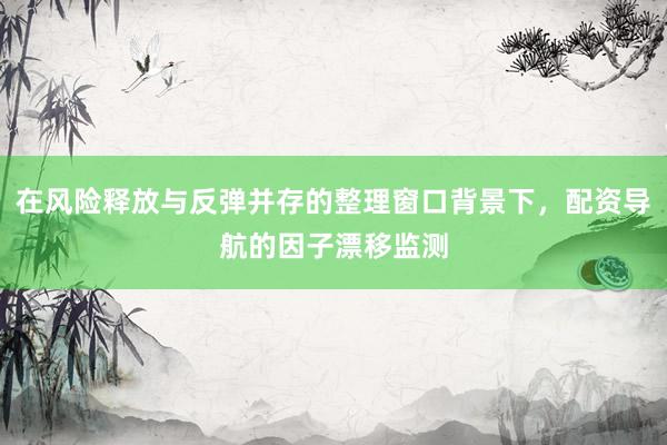 在风险释放与反弹并存的整理窗口背景下，配资导航的因子漂移监测