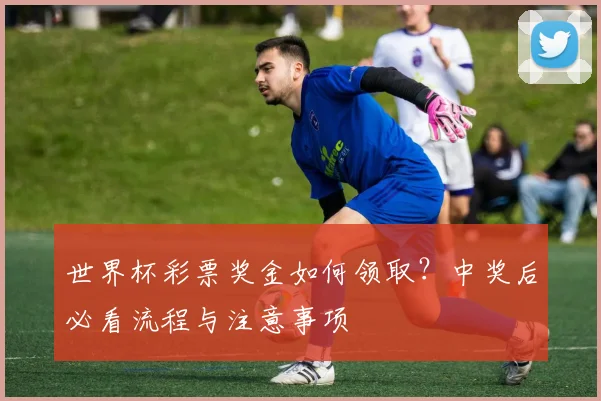 世界杯彩票奖金如何领取？中奖后必看流程与注意事项