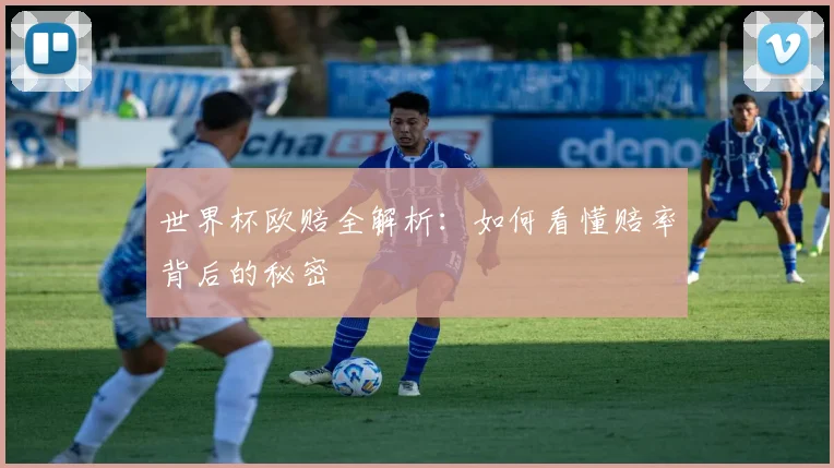 世界杯欧赔全解析：如何看懂赔率背后的秘密