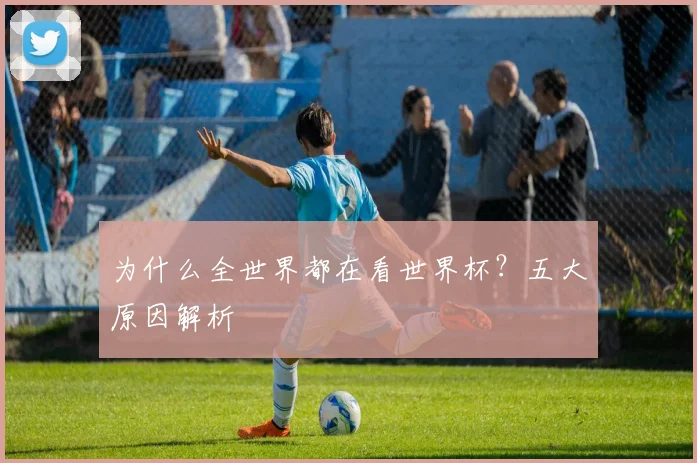 为什么全世界都在看世界杯?五大原因解析