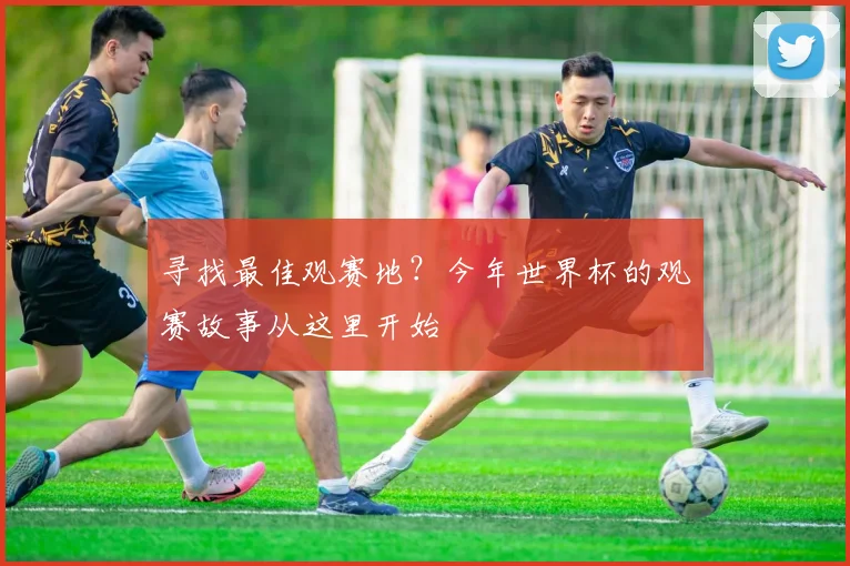 寻找最佳观赛地?今年世界杯的观赛故事从这里开始